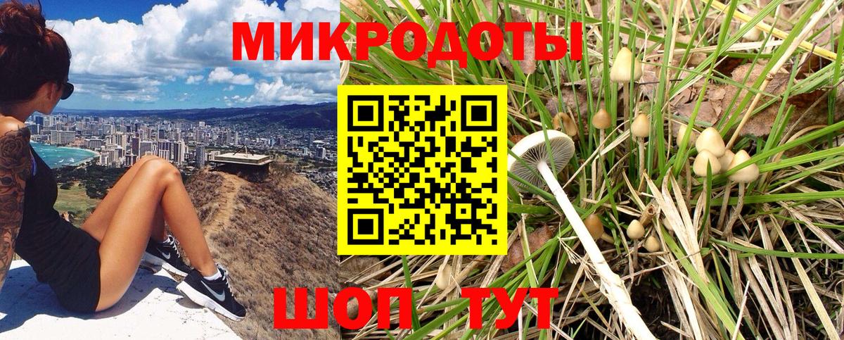 Галлюциногенные грибы MAGIC MUSHROOMS Лесной