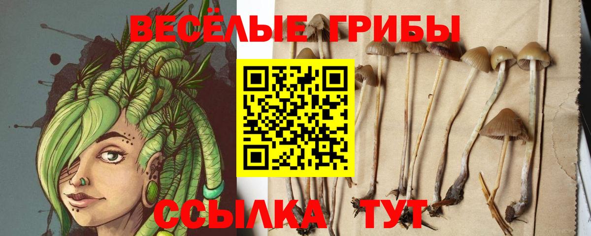 Лесной  Галлюциногенные грибы мухоморы  Вход с VPN 